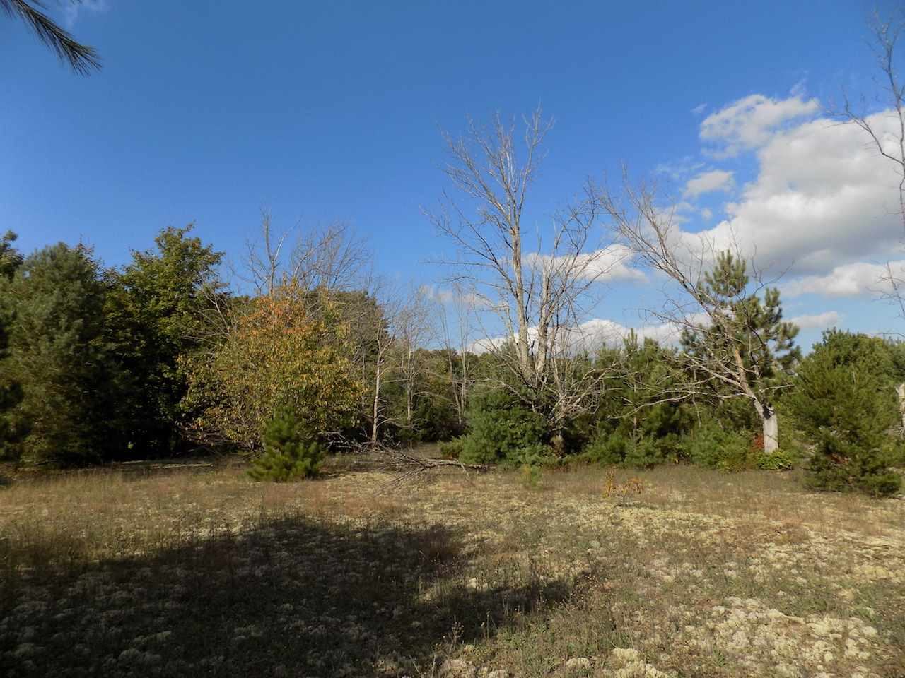 18848 Cedar Run Road Traverse City, MI 49684 - Photo 31 of 38 1852902-30.JPG