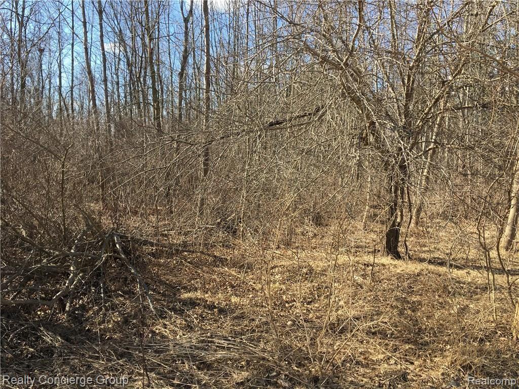2 Sutton - Dryden, MI 48428 - Photo 17 of 18