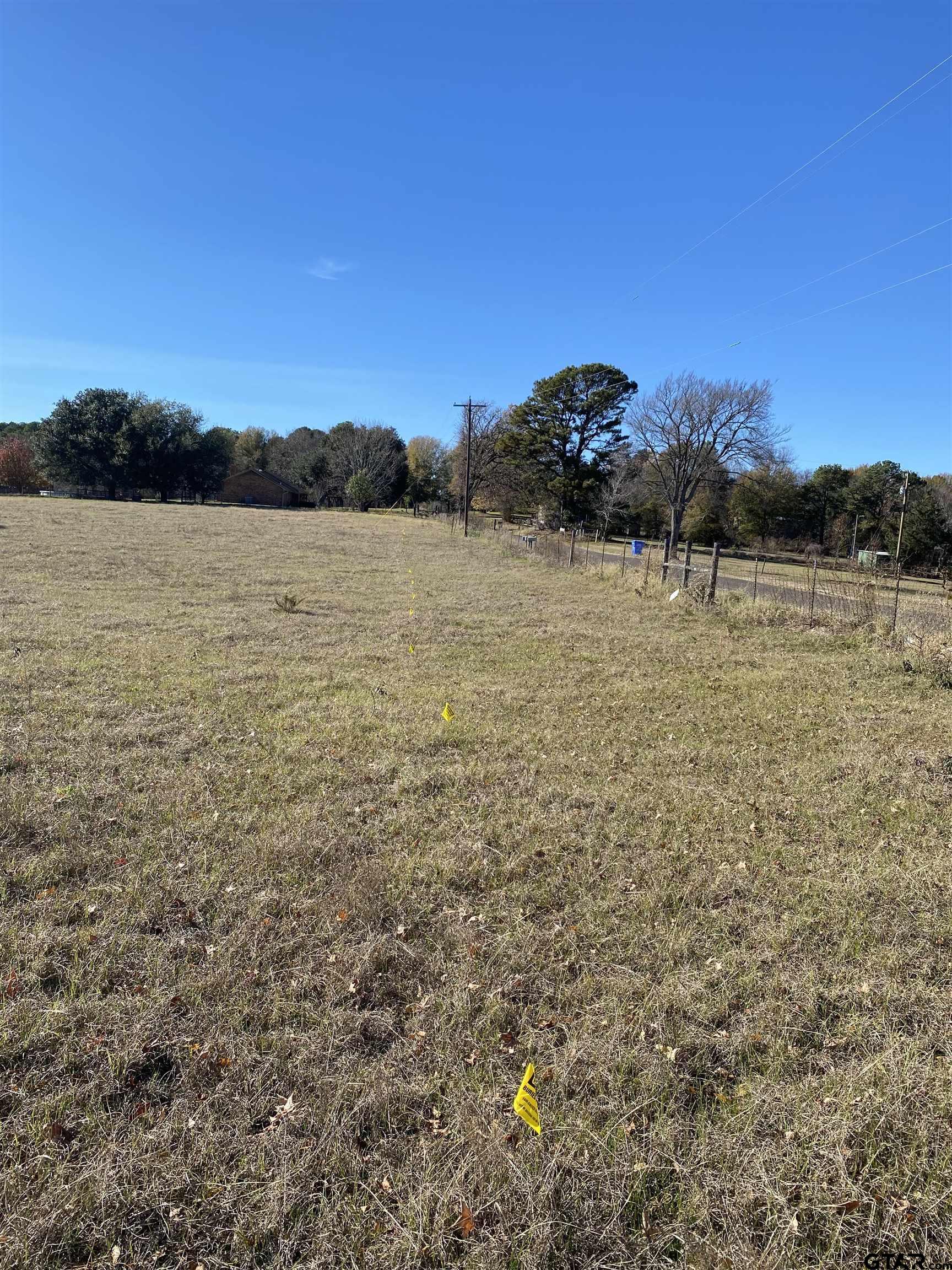 Tbd Tbd Silk Tree Road Gilmer, TX 75645 - Photo 2 of 8 a view of lake