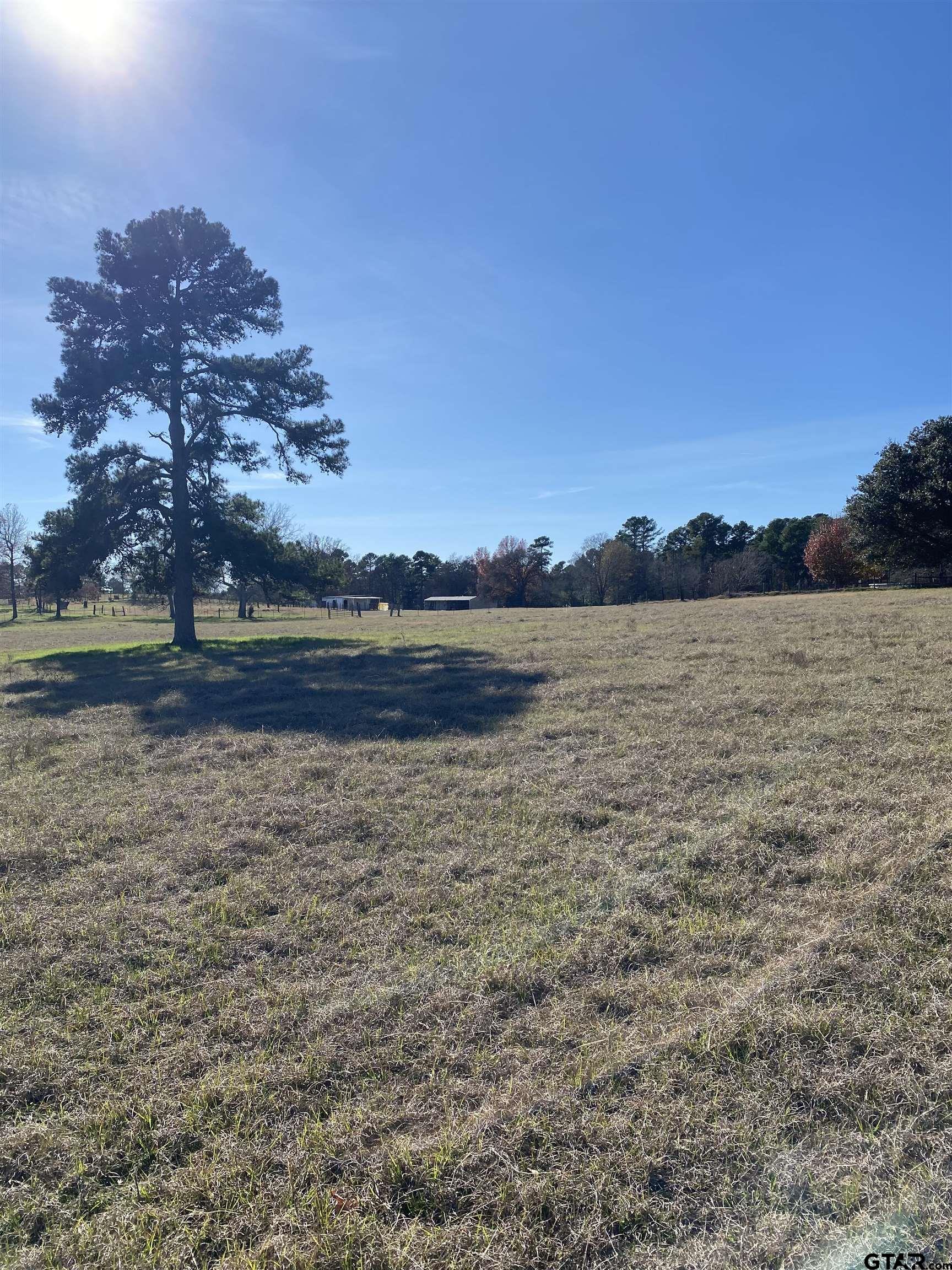 Tbd Tbd Silk Tree Road Gilmer, TX 75645 - Photo 5 of 8 a view of an ocean beach