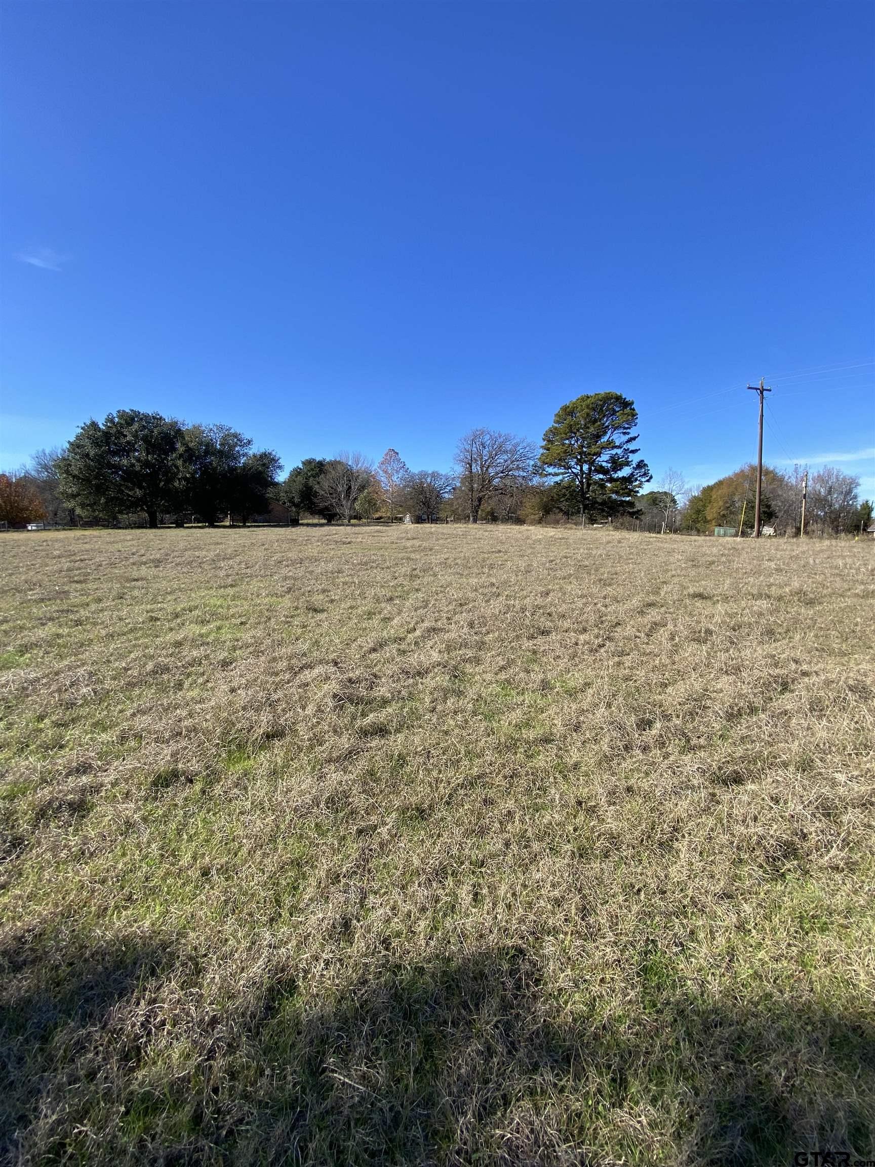 Tbd Tbd Silk Tree Road Gilmer, TX 75645 - Photo 6 of 8 a view of a lake