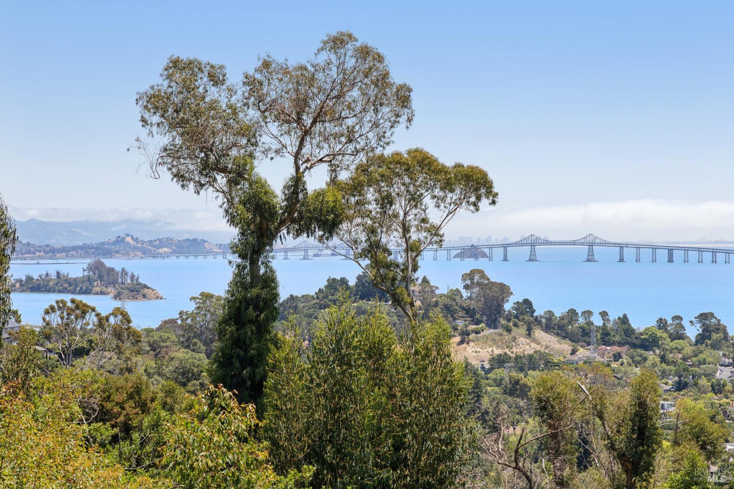 335 Highland Avenue San Rafael, CA 94901 - Photo 50 of 98