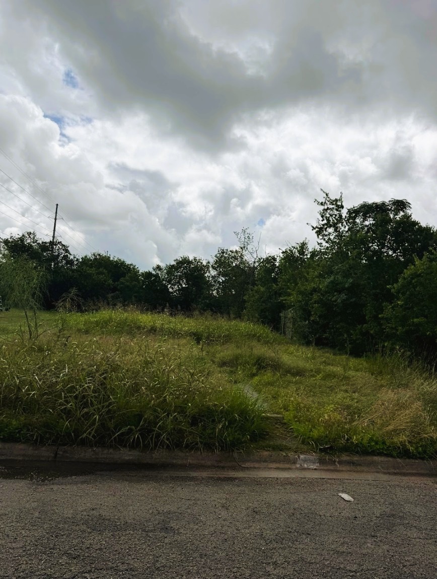 503 Maple Street Taylor, TX 76574 - Photo 11 of 20 Perfect lot for your next home setup.