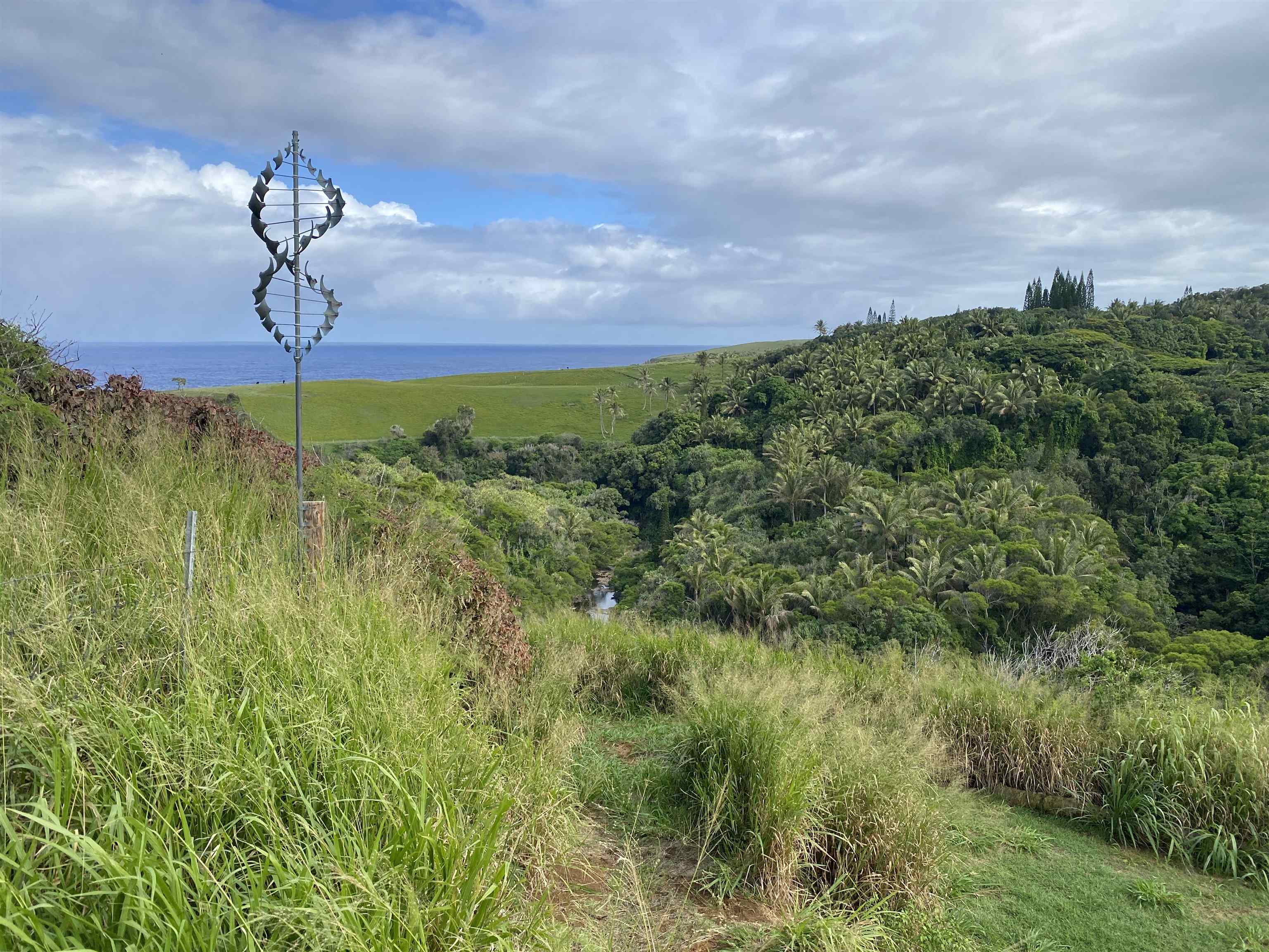 700 Honopou Road, Unit 700 HONOPOU RD Haiku, HI 96708 - Photo 15 of 24