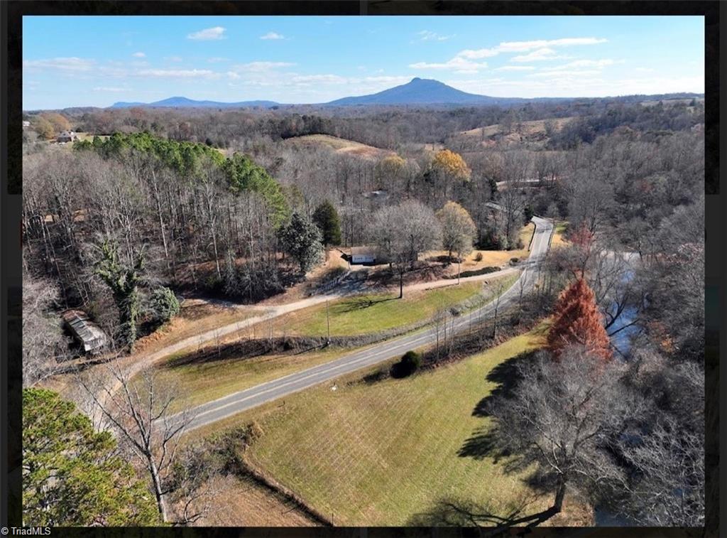 636 Bryant Mill Road Ararat, NC 27007 - Photo 2 of 25