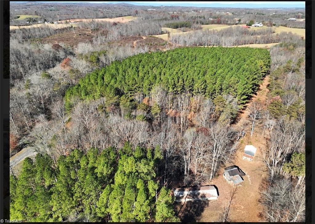 636 Bryant Mill Road Ararat, NC 27007 - Photo 9 of 25