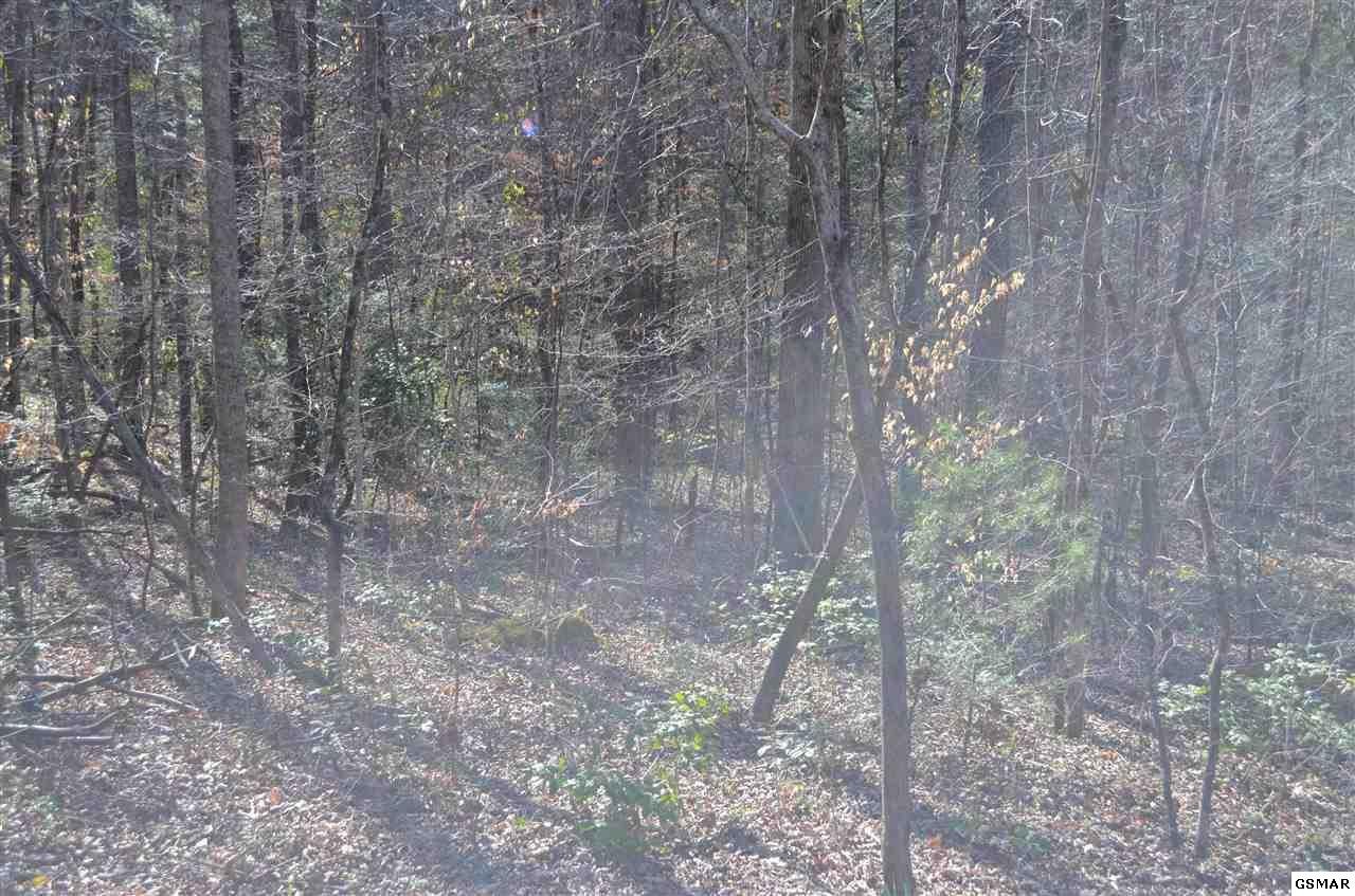 0 Tom Henry Road Townsend, TN 37882 - Photo 5 of 5 Gallery Image 5