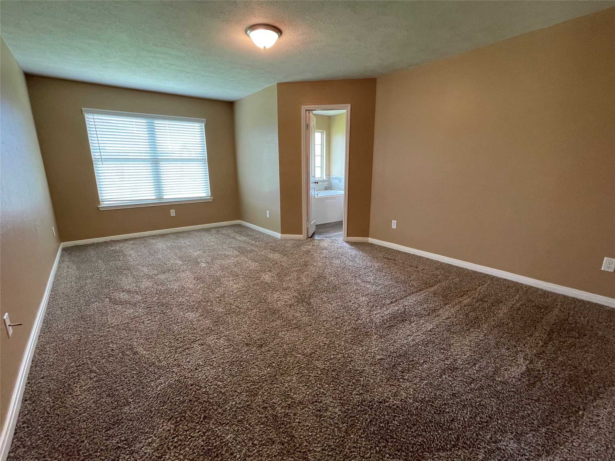 832 Mockingbird Street Navasota, TX 77868 - Photo 8 of 20 an empty room with windows and closet