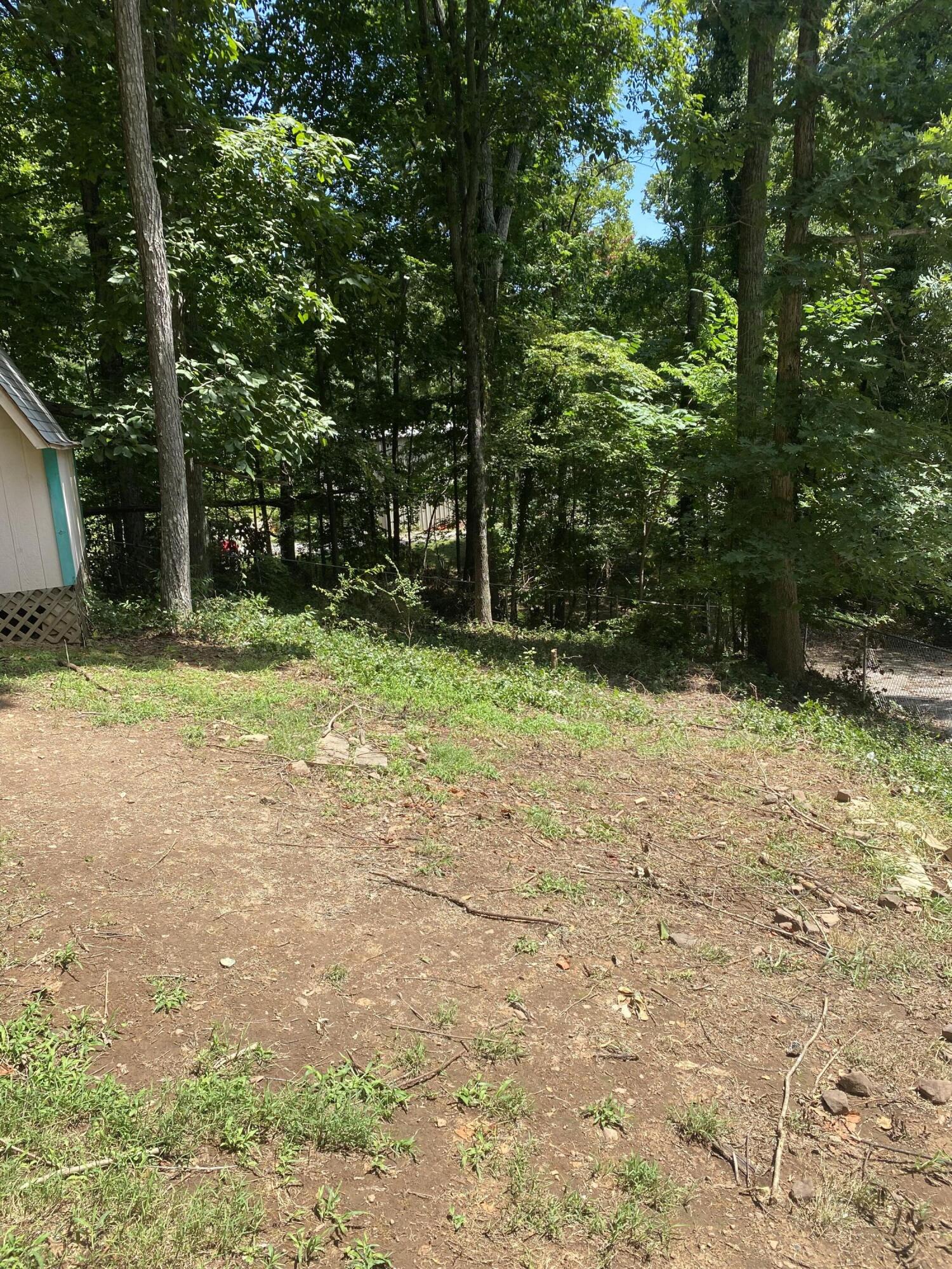 150 Crest Road McDonald, TN 37353 - Photo 28 of 32 IMG_3506