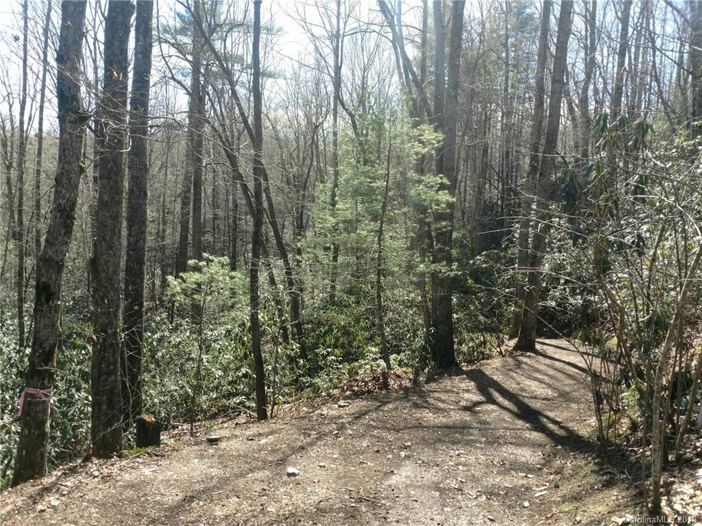 Lot 1 Middlemount Road, Unit LOT 1 Pisgah Forest, NC 28768 - Photo 6 of 8 Gallery Image 6