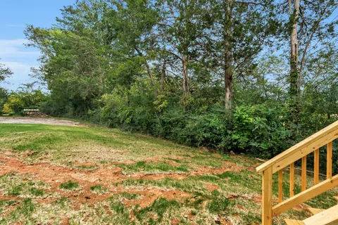 a view of a field with a tree