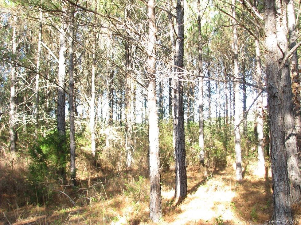 521 Hwy Rembert Sc 29128 Highway Rembert, SC 29128 - Photo 2 of 3