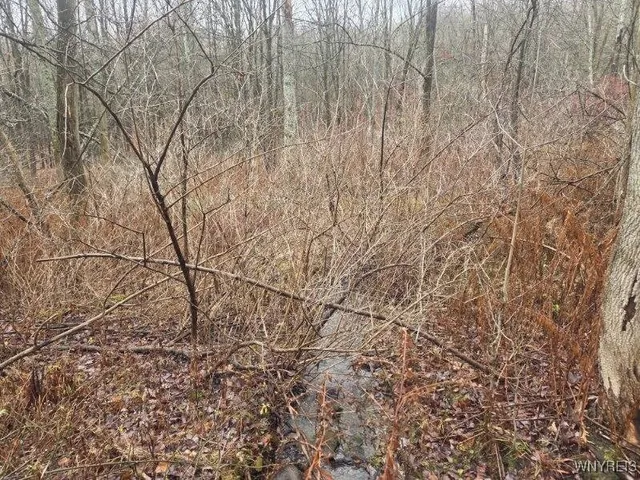 $60,000 | Beech Tree Rd Valley, West Valley, NY 14171