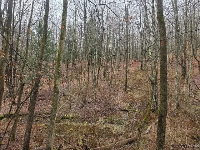 $60,000 | Beech Tree Rd Valley, West Valley, NY 14171