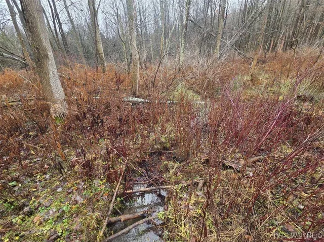 $60,000 | Beech Tree Rd Valley, West Valley, NY 14171