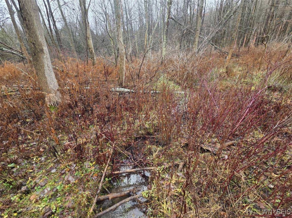 Beech Tree Rd Valley West Valley, NY 14171 - Photo 3 of 14