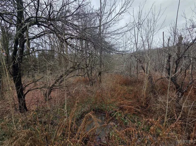 $60,000 | Beech Tree Rd Valley, West Valley, NY 14171