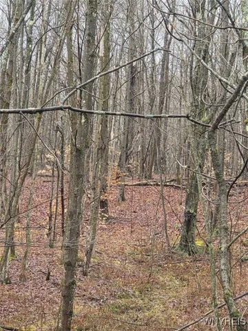 $60,000 | Beech Tree Rd Valley, West Valley, NY 14171