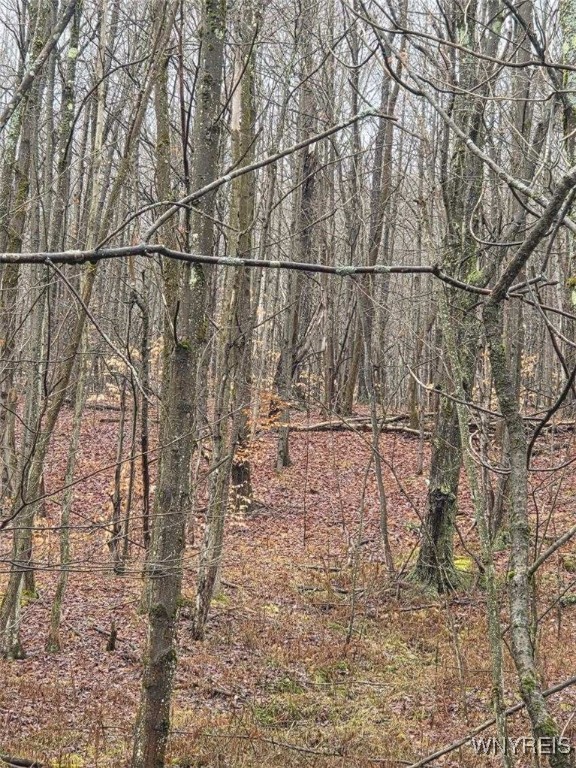 Beech Tree Rd Valley West Valley, NY 14171 - Photo 5 of 14