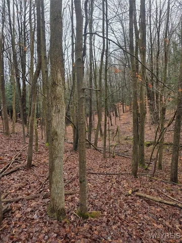 $55,000 | Beech Tree Rd Valley, West Valley, NY 14171