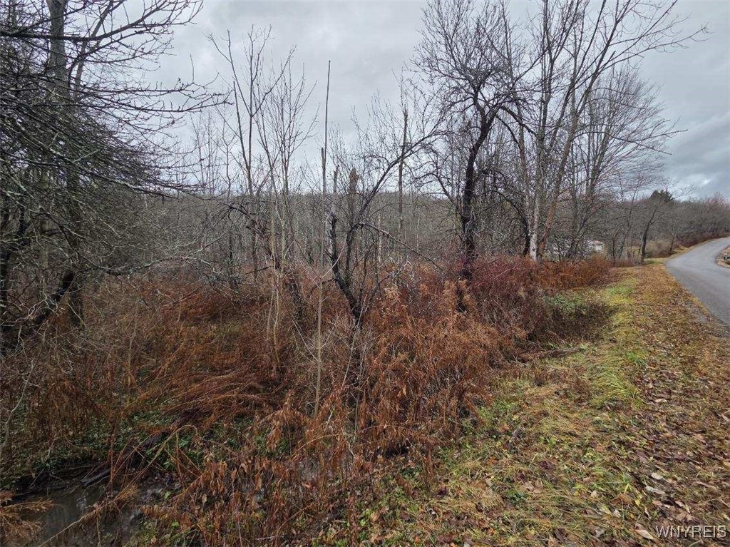 Beech Tree Rd Valley West Valley, NY 14171 - Photo 9 of 14