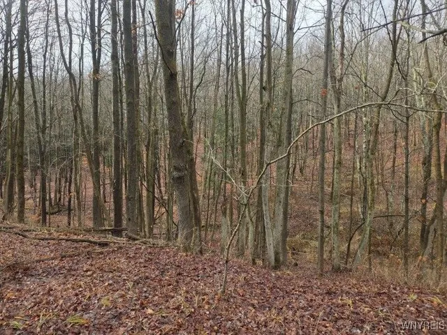 $60,000 | Beech Tree Rd Valley, West Valley, NY 14171