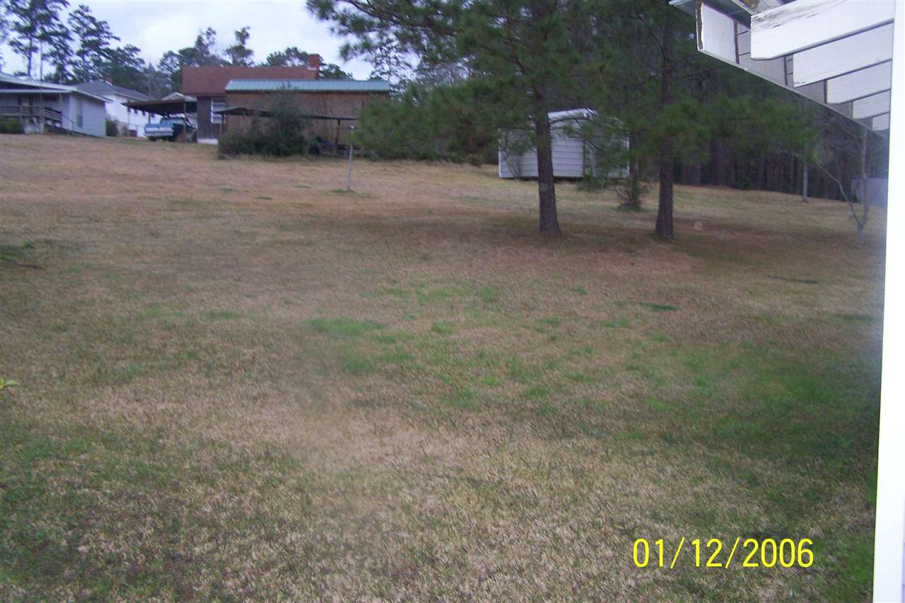 585 Satsuma Road Chattahoochee, FL 32324 - Photo 18 of 25 Gallery Image 18