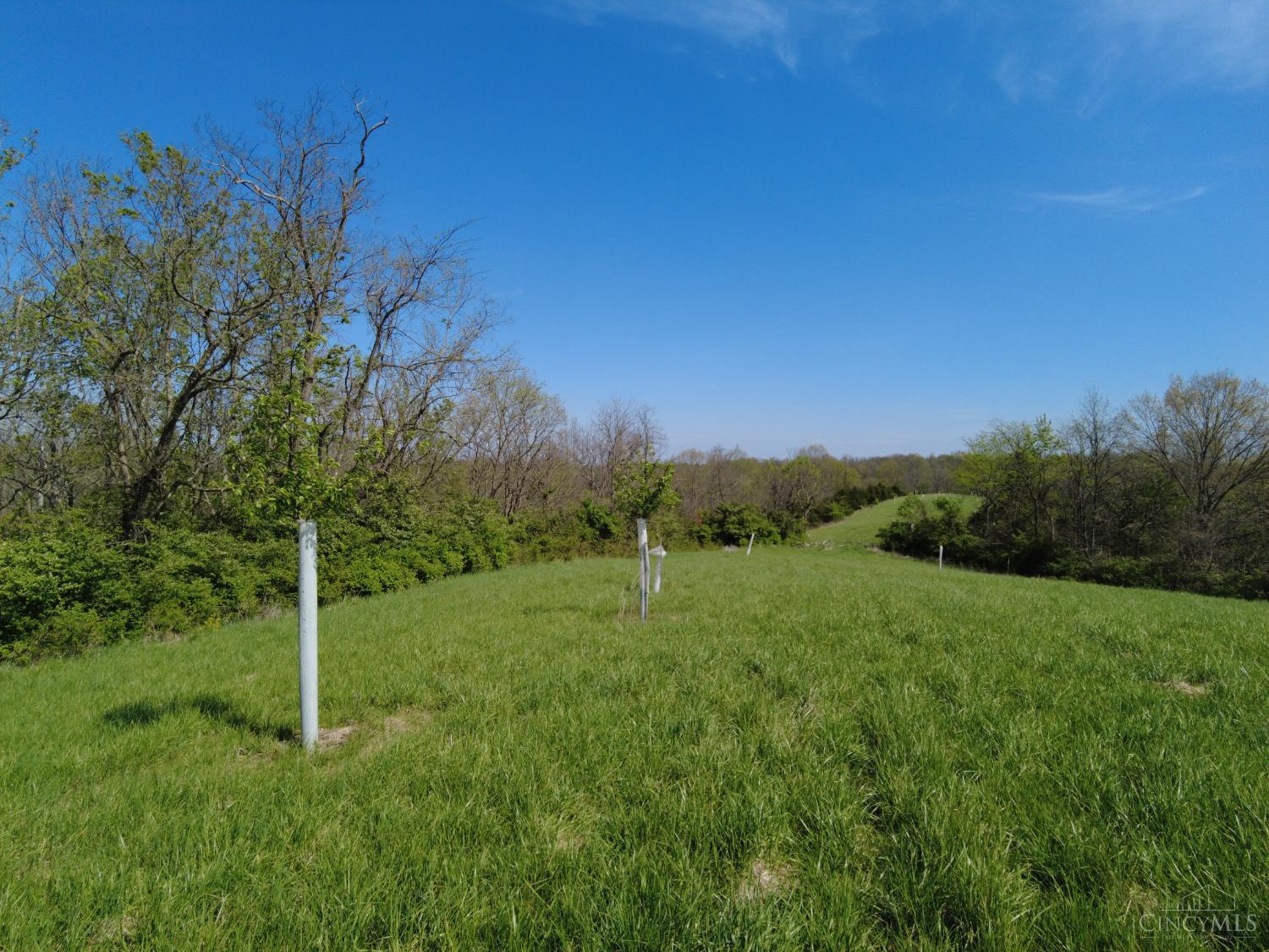 9951 Fishing Gut Road Aberdeen, OH 45101 - Photo 7 of 50