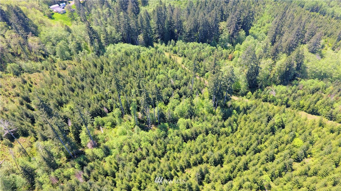 0 Paine Road Silverlake, WA 98645 - Photo 14 of 24 Gallery Image 14