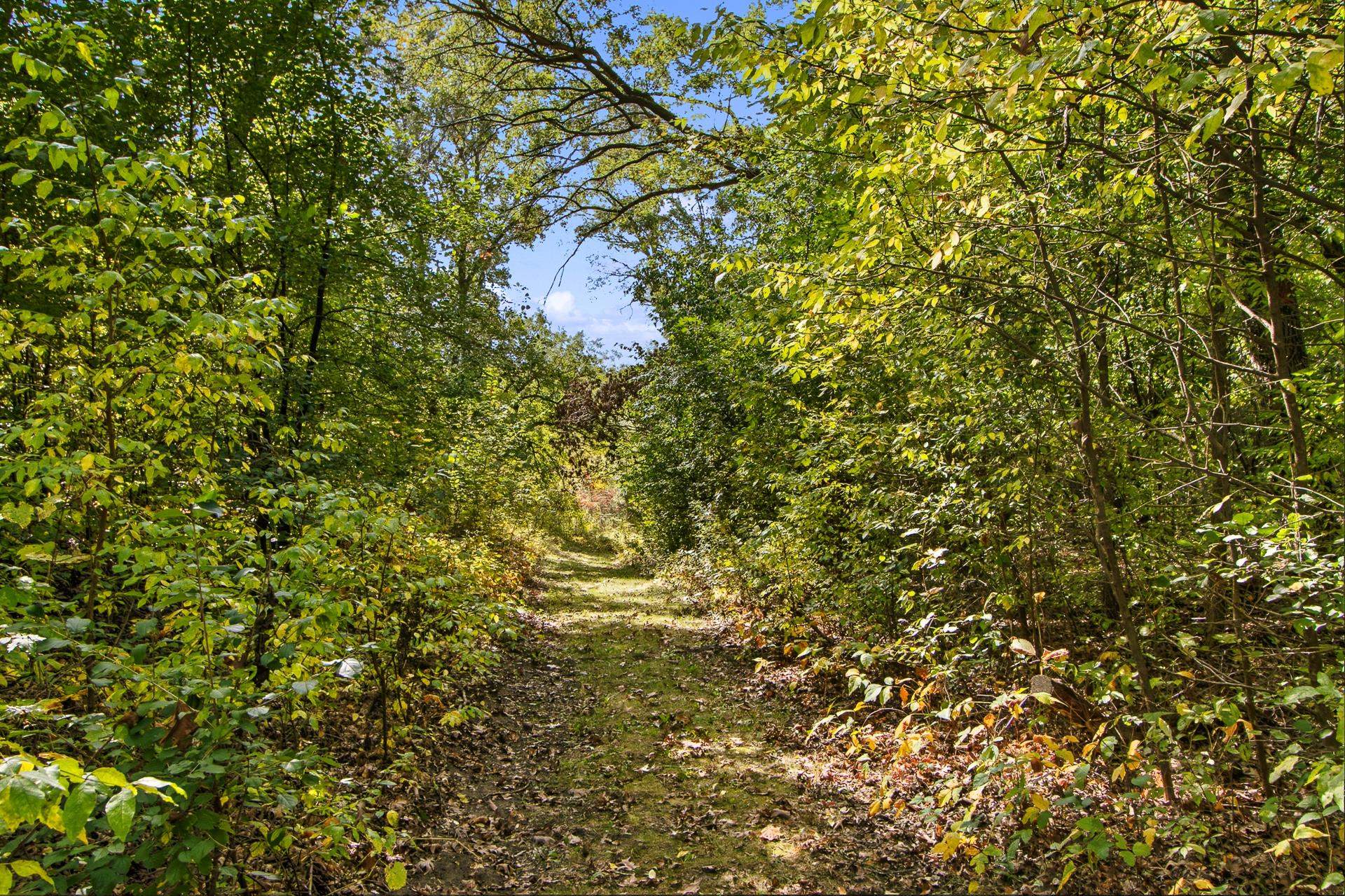26-acres Xanadu Road Wisconsin Dells, WI 53965 - Photo 6 of 19