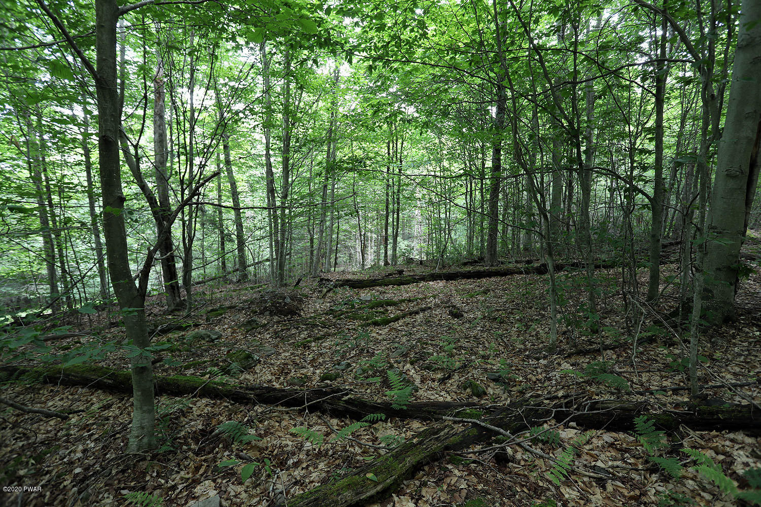 0 Minckler Mountain Road Equinunk, PA 18417 - Photo 13 of 39