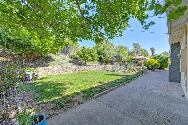 a view of a yard with potted plants