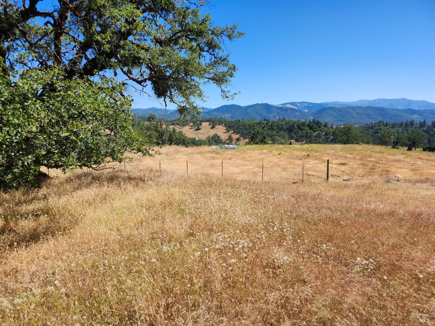 22551 Rifle Range Road Covelo, CA 95428 - Photo 7 of 24