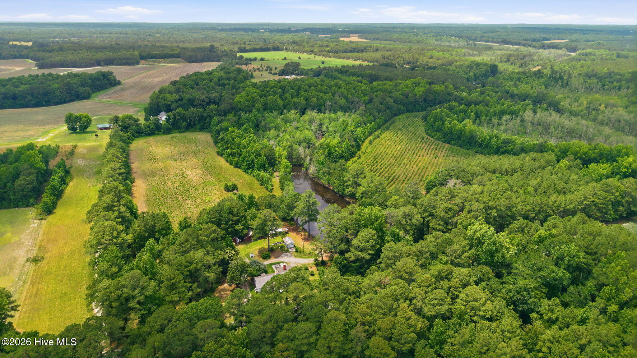 17060 St Johns Church Road Laurel Hill, NC 28351 - Photo 61 of 62