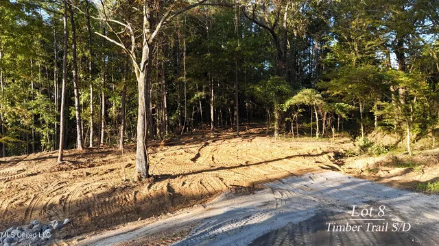 $95,000 | 8 Tyro Branch Cove, Senatobia, MS 38668