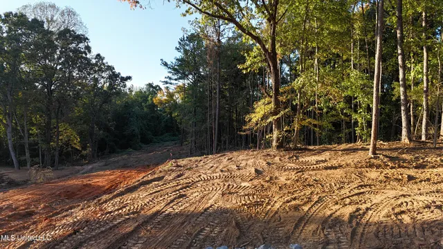 $95,000 | 8 Tyro Branch Cove, Senatobia, MS 38668