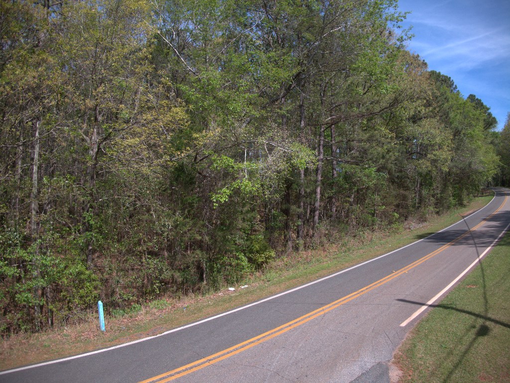 Lot 10 Chestnut Grove Road Shiloh, GA 31826 - Photo 13 of 17 Gallery Image 13