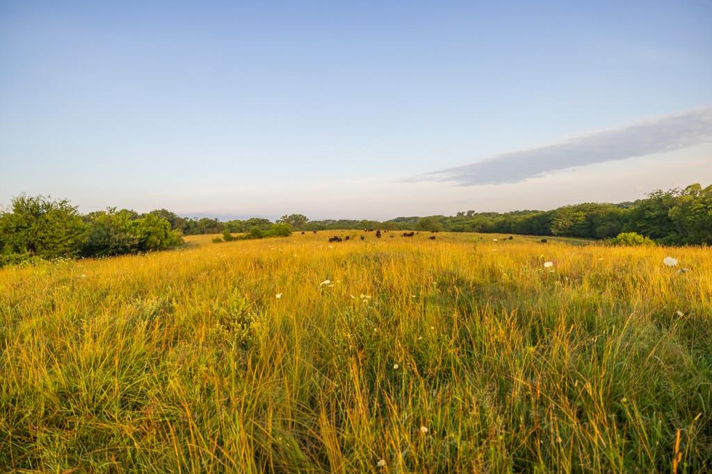 0 Southeast Oliver Road Cowgill, MO 64637 - Photo 43 of 56