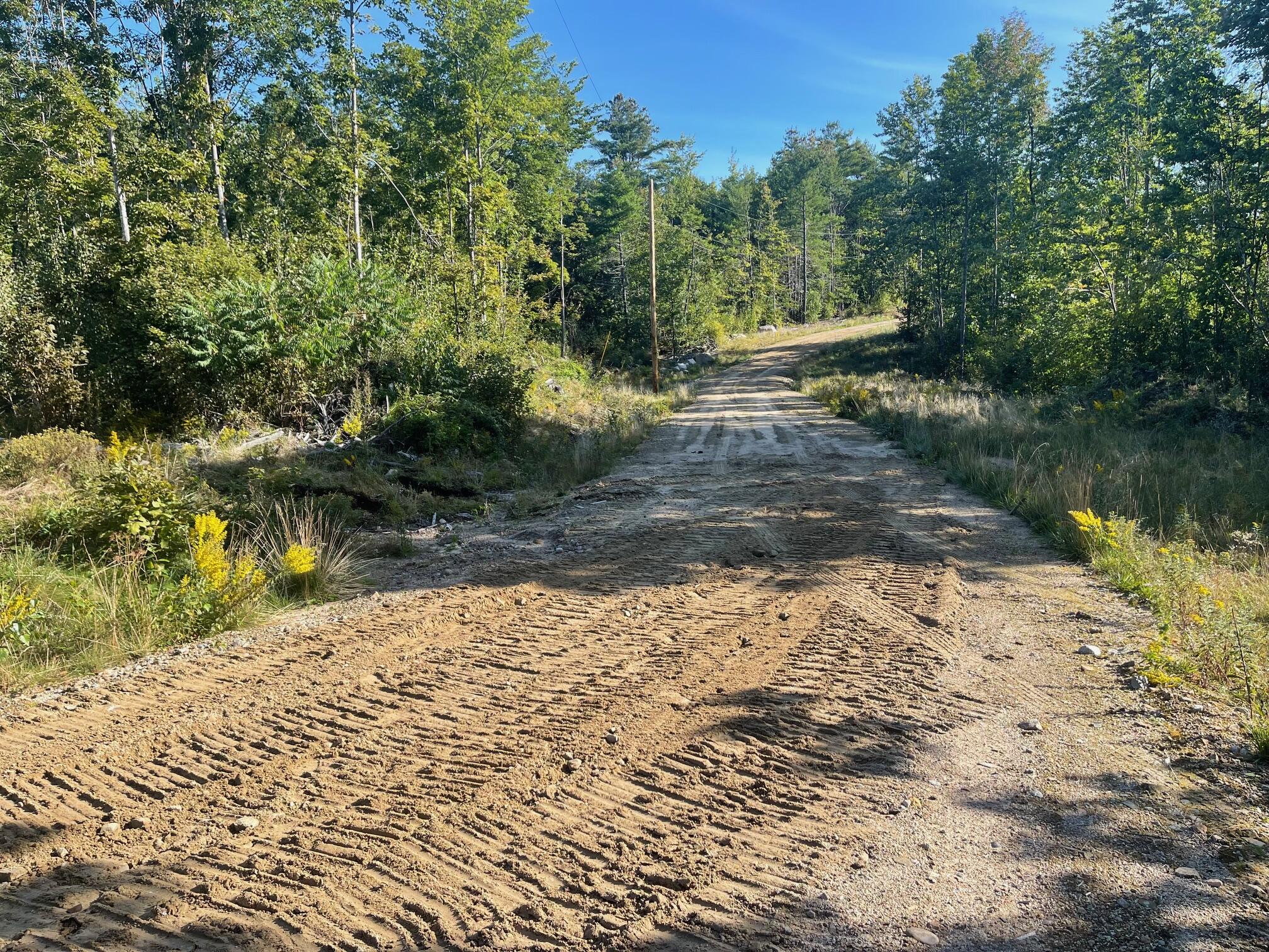 37 Alpine Drive Porter, ME 04068 - Photo 3 of 26 Gravel road