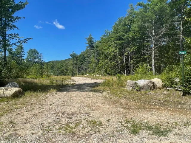 $495,000 | 37 Alpine Drive, Porter, ME 04068