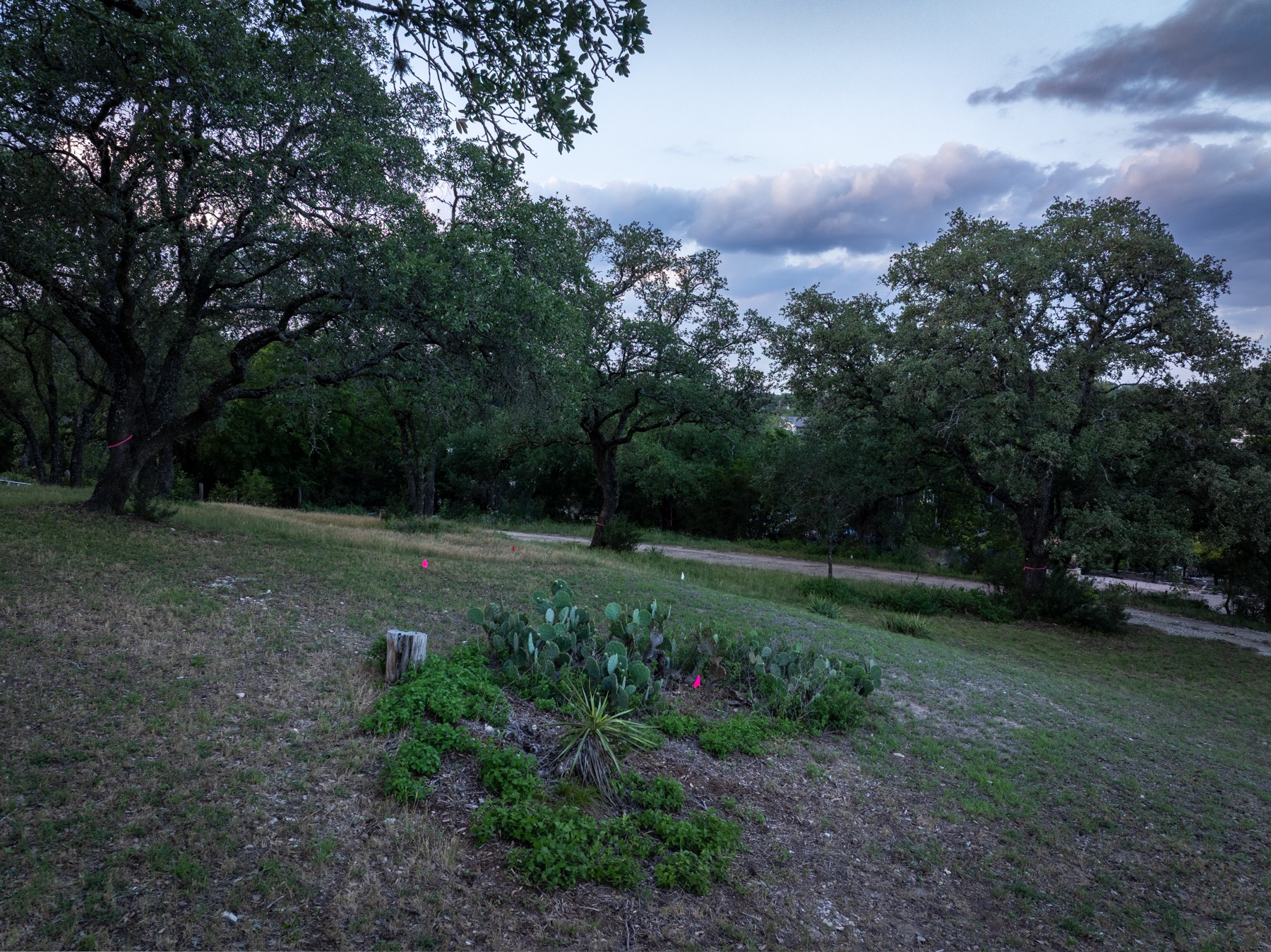 1106 The High Road Austin, TX 78746 - Photo 11 of 20
