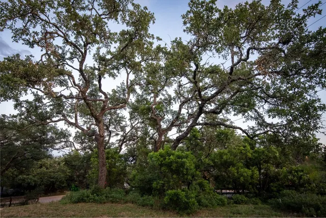 $2,900,000 | 1106 The High Road, Austin, TX 78746