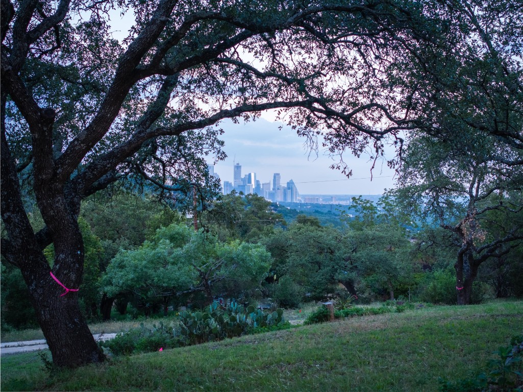 1106 The High Road Austin, TX 78746 - Photo 7 of 20 Beautiful live oak trees in some great spots.