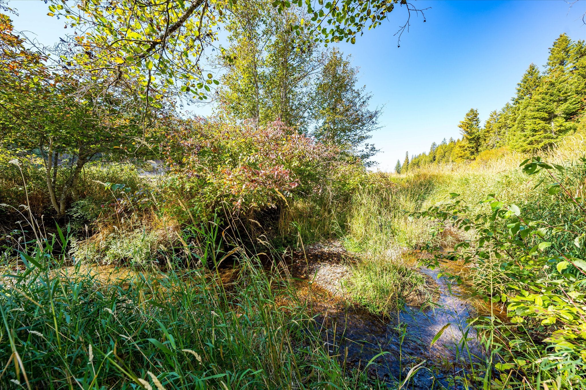 629 Swamp Creek Road Libby, MT 59923 - Photo 102 of 119 Gallery Image 102