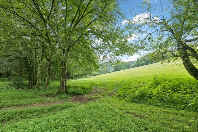 $565,000 | 994 Bull Run Road, Lynchburg, TN 37352