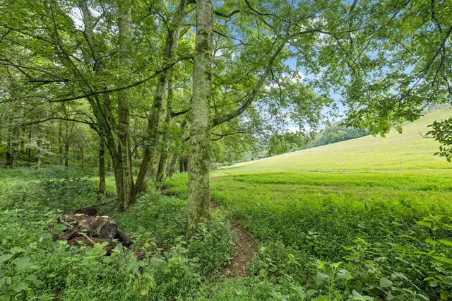 $565,000 | 994 Bull Run Road, Lynchburg, TN 37352