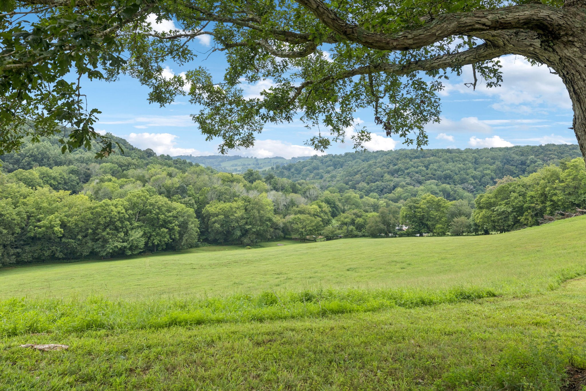 994 Bull Run Road Lynchburg, TN 37352 - Photo 63 of 76 a view of a field with a tree