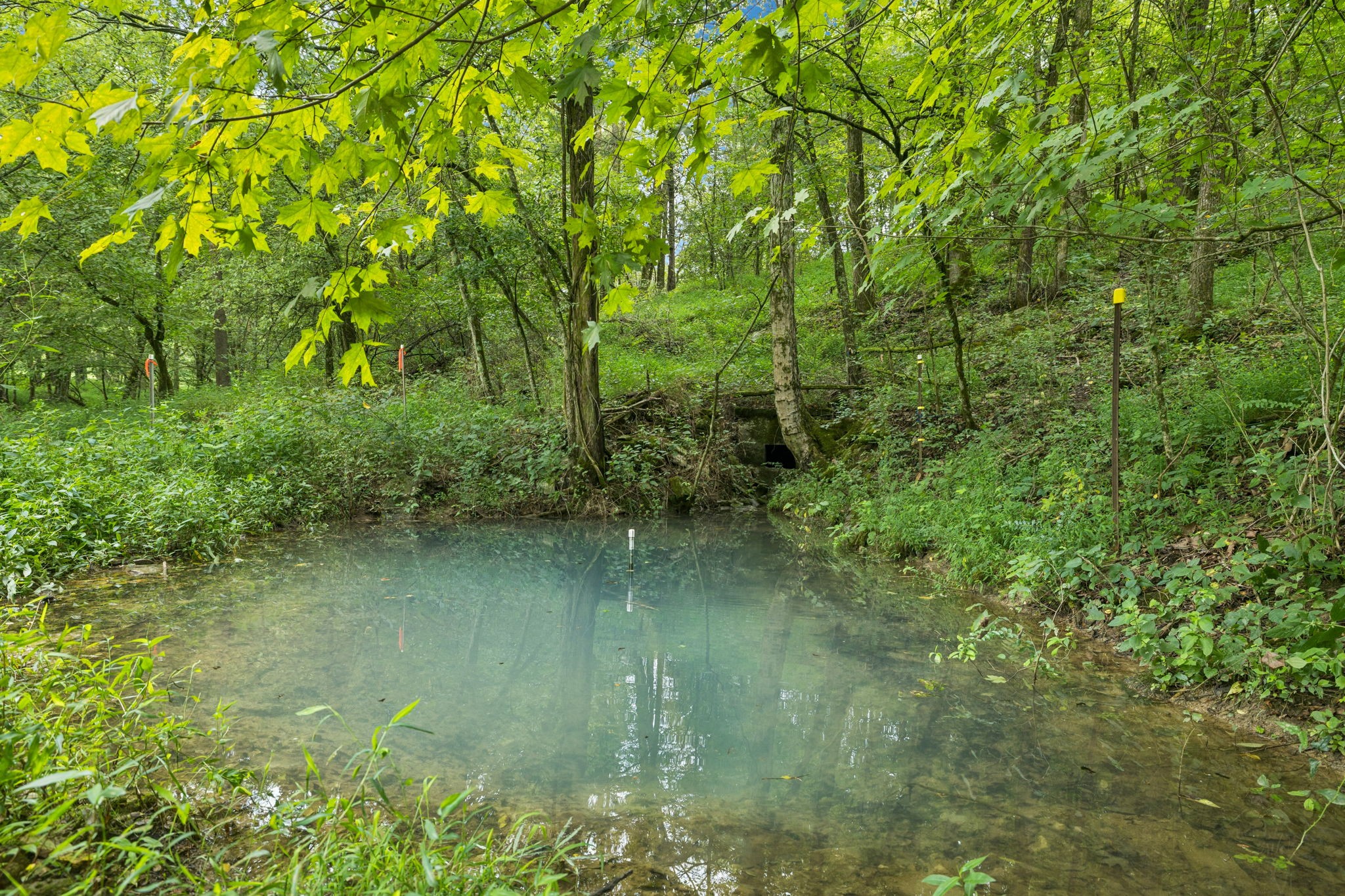 994 Bull Run Road Lynchburg, TN 37352 - Photo 65 of 76 a backyard of a house with lots of green space and lake view
