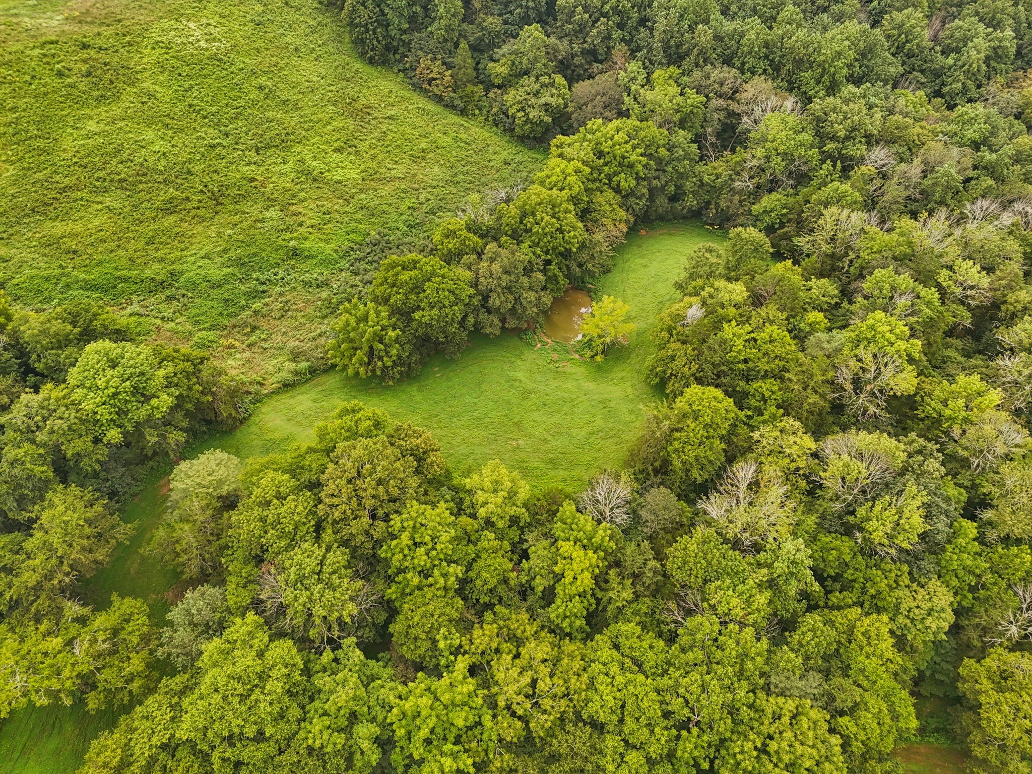 994 Bull Run Road Lynchburg, TN 37352 - Photo 69 of 76