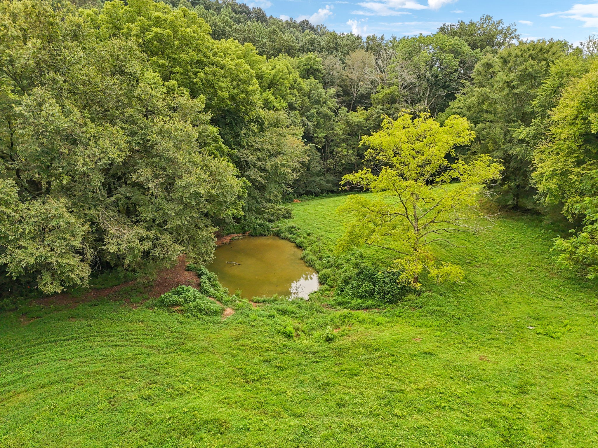 994 Bull Run Road Lynchburg, TN 37352 - Photo 72 of 76